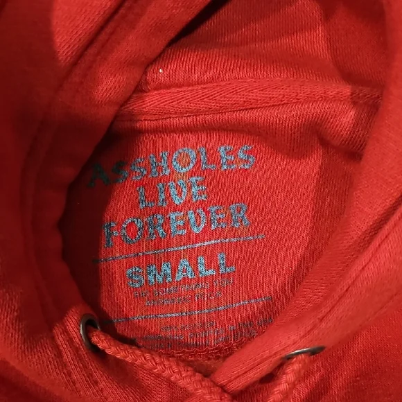 Assholes Live Forever Red Cropped Hoodie | Size Small | Streetwear Graphic - Picture 2 of 4